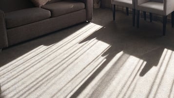 32-inch LCD TV with satellite channels, TV