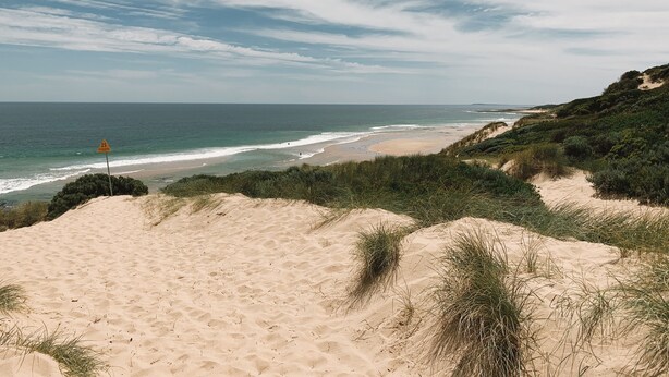 A beach with sand dunes and sparse vegetation. - Meeniyan Motel (Meeniyan)