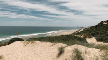 Surf/bodyboard