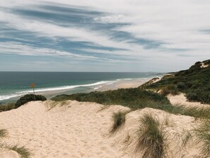 A beach with sand dunes and sparse vegetation. - Meeniyan Motel (Meeniyan)