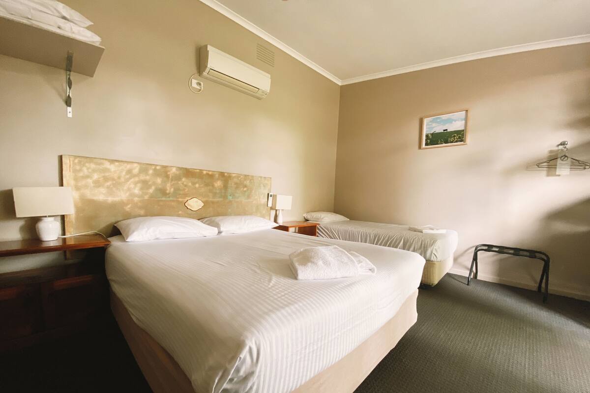 Habitación de hotel con una cama grande, una cama más pequeña, una mesita de noche con lámpara, un equipo de aire acondicionado y un cuadro en la pared.