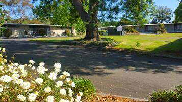 A street view with a row of single-story houses, a tree-lined driveway, and a grassy area with white flowers in the foreground.