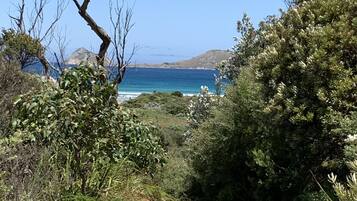 A gravel path leading to a coastal area with dense vegetation and a clear view of the sea.