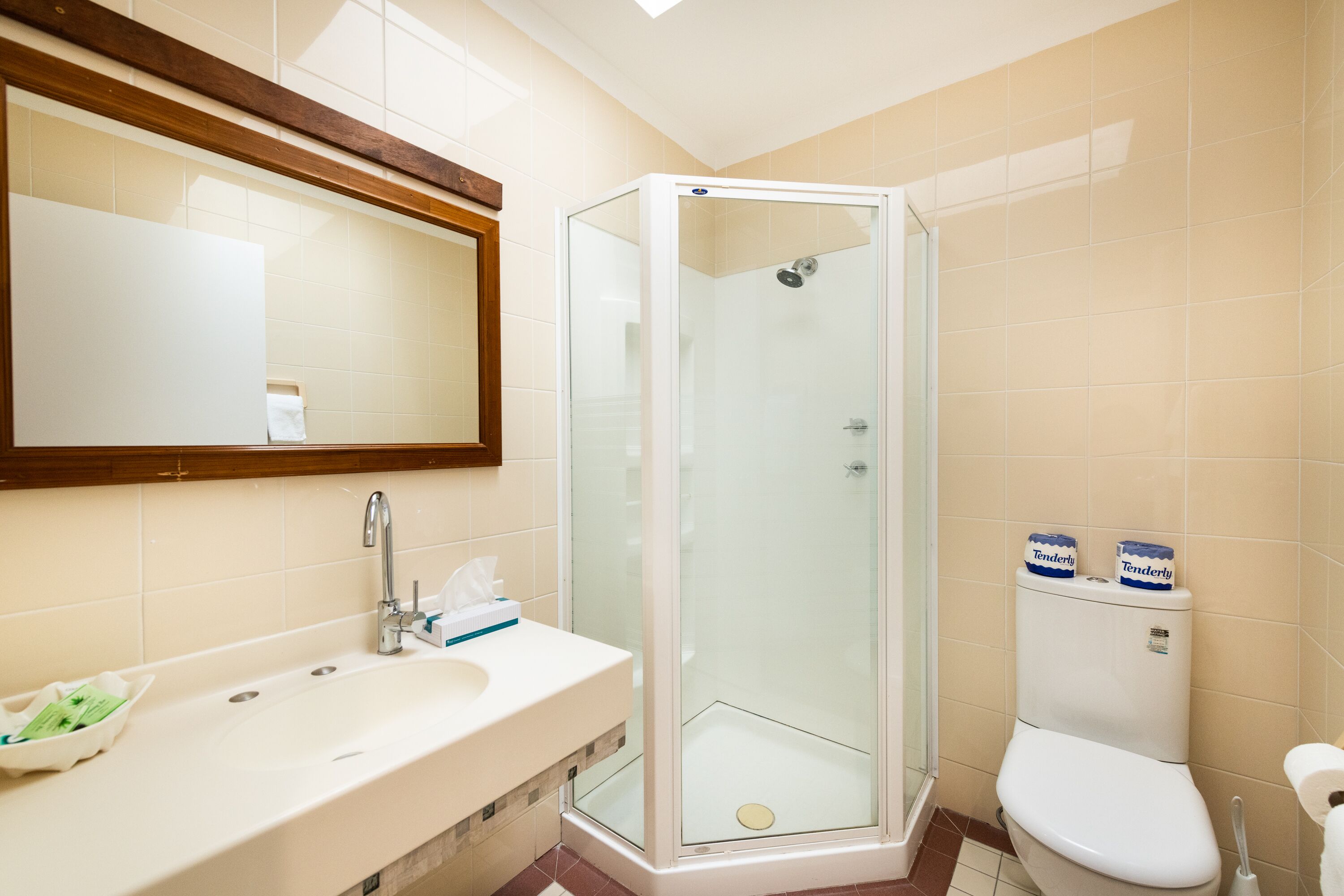 A bathroom with a glass-enclosed shower, a sink with a mirror above it, and a toilet with toilet paper.