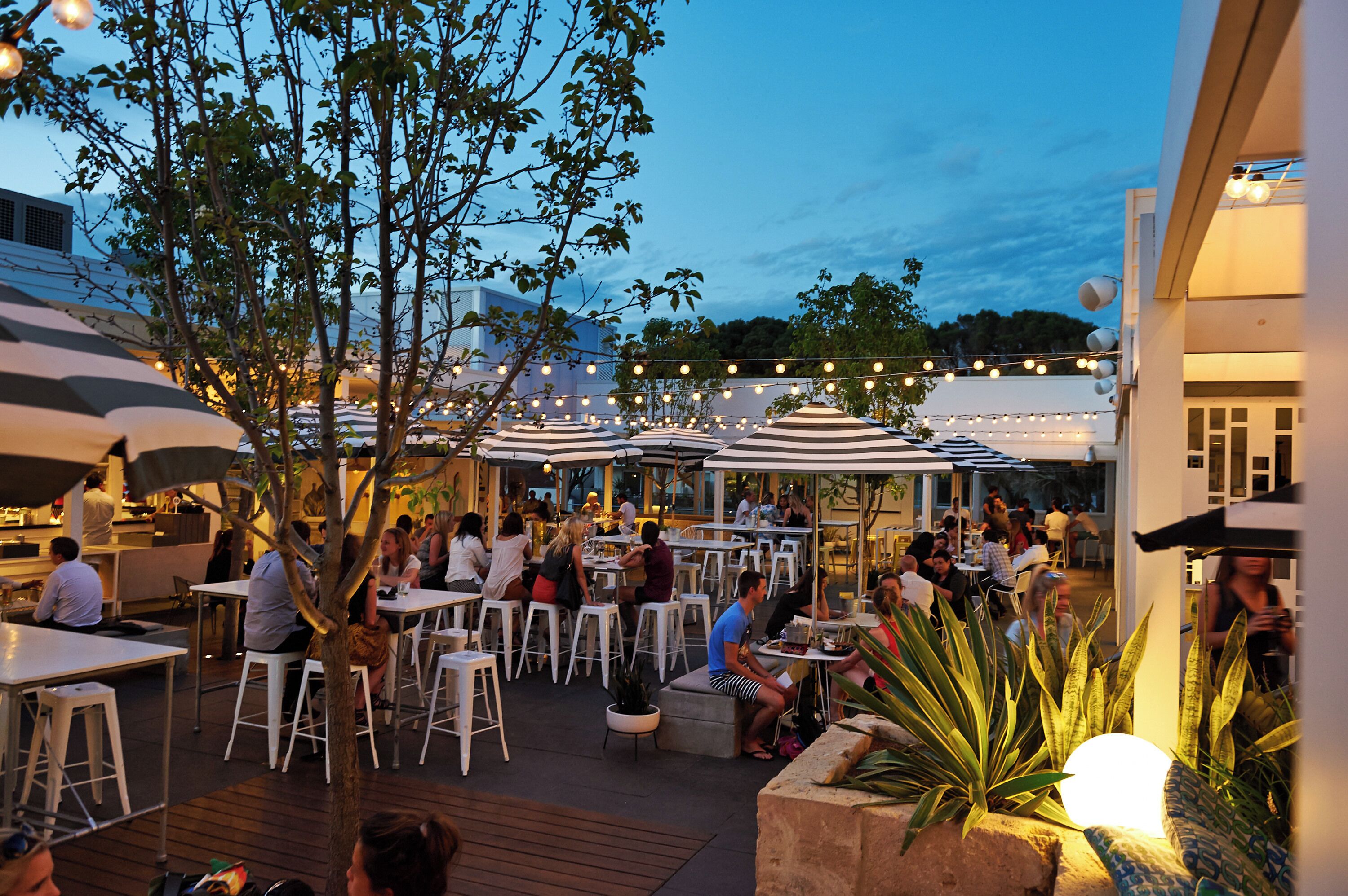 ocean views, serves lunch and dinner