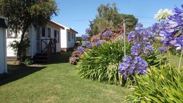 Property grounds - Mountain View Motel, Levin (Levin)