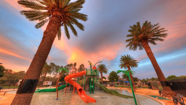 A water park with slides and palm trees.