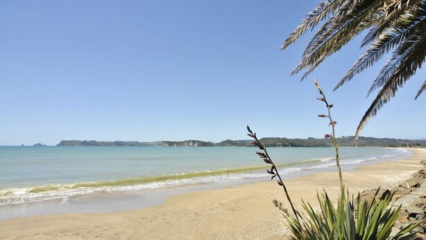 A beach with clear skies, calm water, and distant hills. - Whitianga Campground (Whitianga)