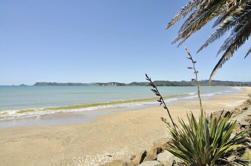 Whitianga Campground