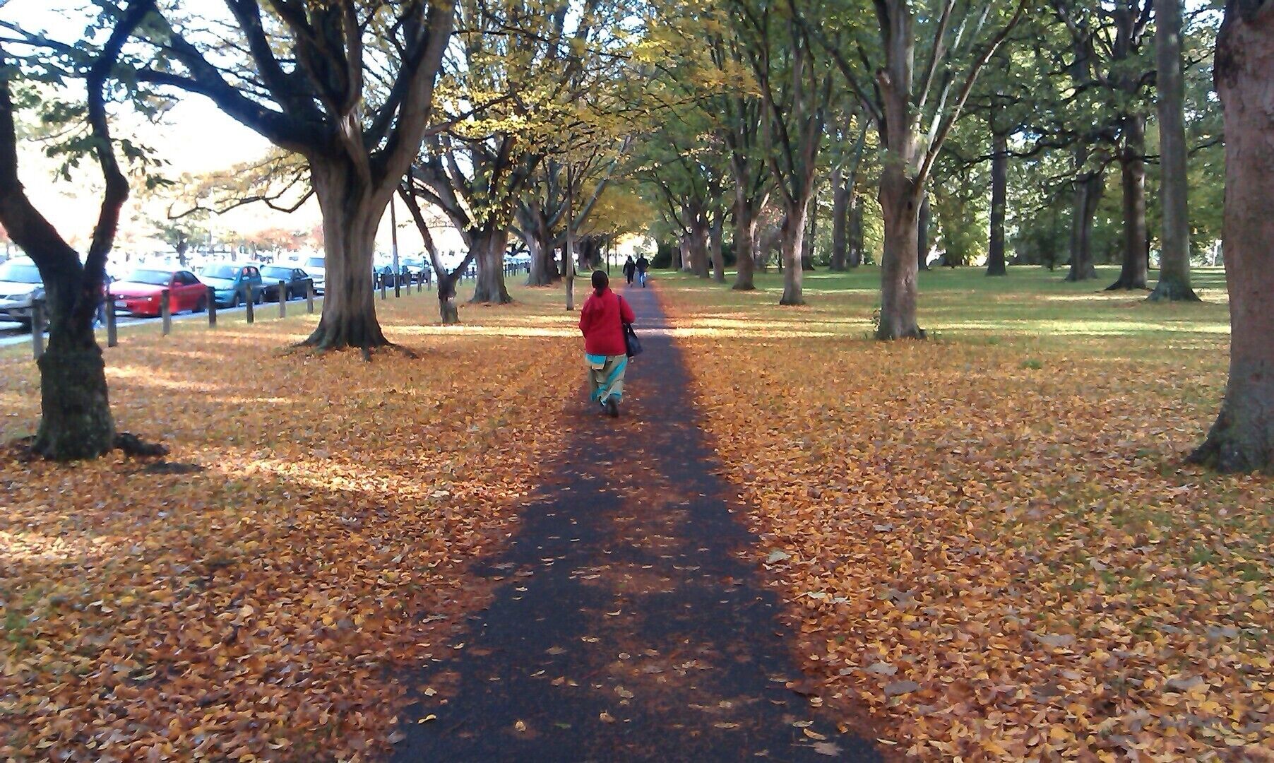 Photo - Ascot Vale Motor Lodge