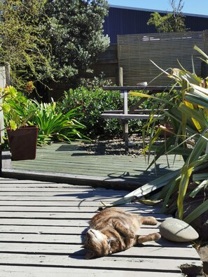 Garden - Foreshore Motor Lodge (Lower Hutt)