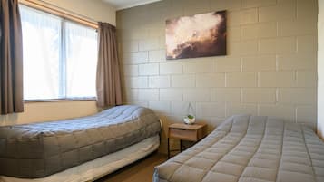 A room with two beds, a window with curtains, a small bedside table with a plant, and a wall-mounted picture.