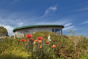 Een rond gebouw met een groen dak, omgeven door diverse planten en bloemen.