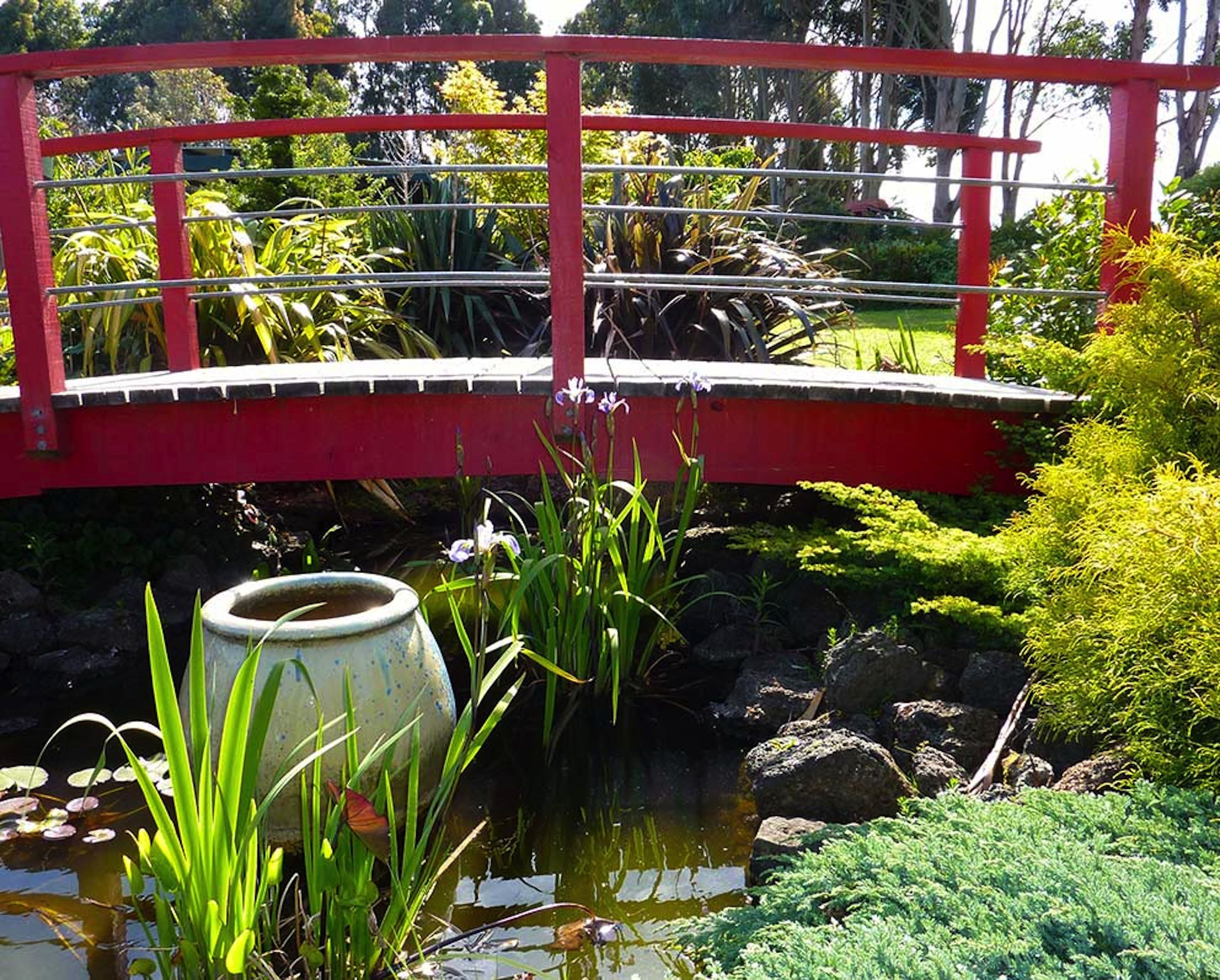 Een rode brug over een vijver met waterlelies en groene planten.