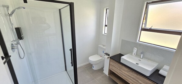 A modern bathroom with a glass shower enclosure, a toilet, and a sink with a mirror above it.