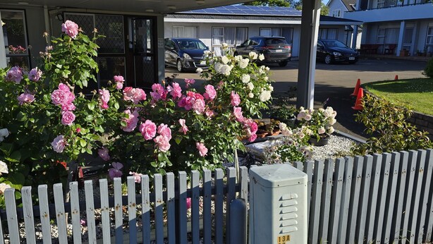 Un edificio con un ingresso coperto, un’area di parcheggio con diverse auto e un giardino con fiori rosa e bianchi.