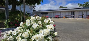 Exterior - Motel 22 (Lower Hutt)