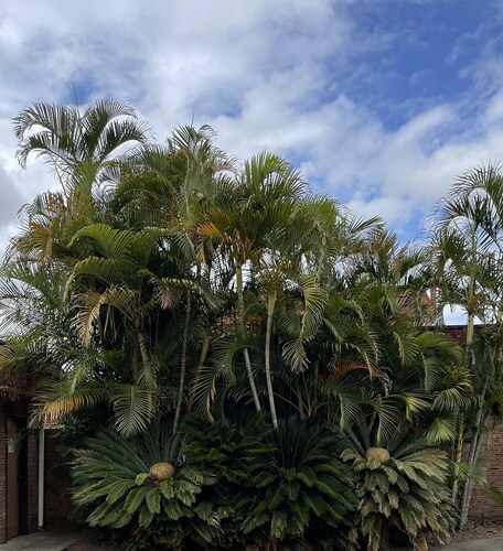 Bulahdelah Motor Lodge