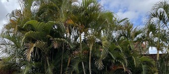 Bulahdelah Motor Lodge