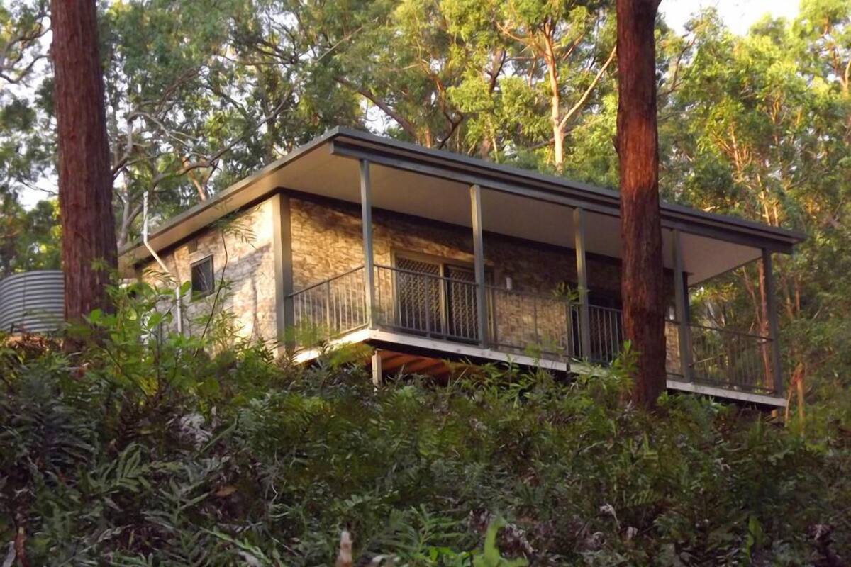 A modern house with a balcony, surrounded by dense vegetation and tall trees.