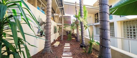 A pathway lined with palm trees and plants, leading to a building with a balcony.