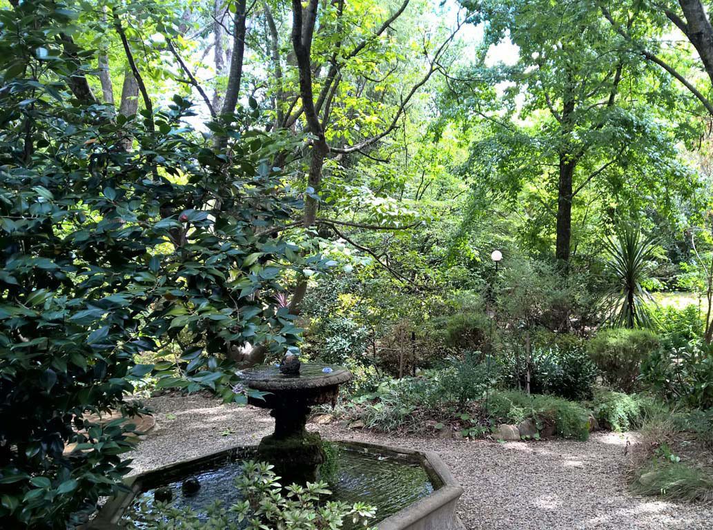 A garden with a stone fountain surrounded by dense foliage and trees.