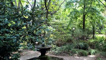 A garden with a stone fountain surrounded by dense foliage and trees.