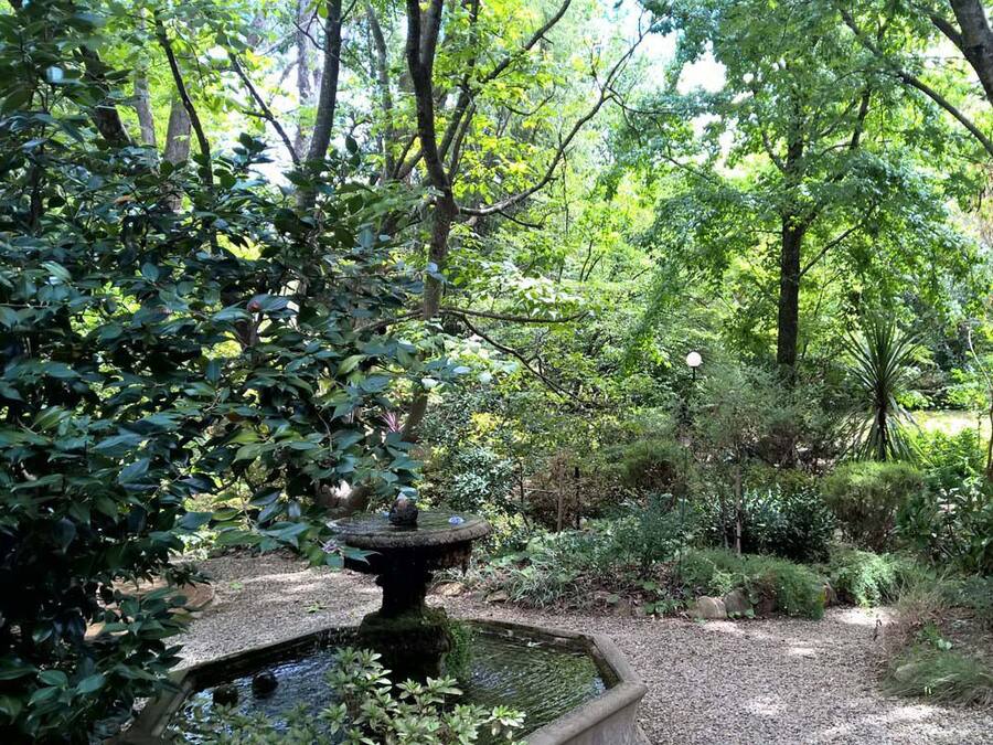 A garden with a stone fountain surrounded by dense foliage and trees.