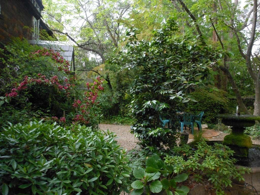 A lush garden with dense foliage, a stone bench, and a small fountain.