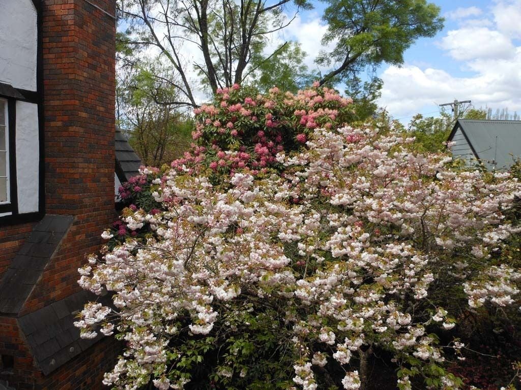 Rom – standard (The Mews) | Eksteriør