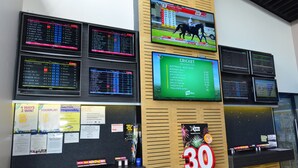 Una casa de apuestas con múltiples pantallas mostrando resultados deportivos y cuotas.