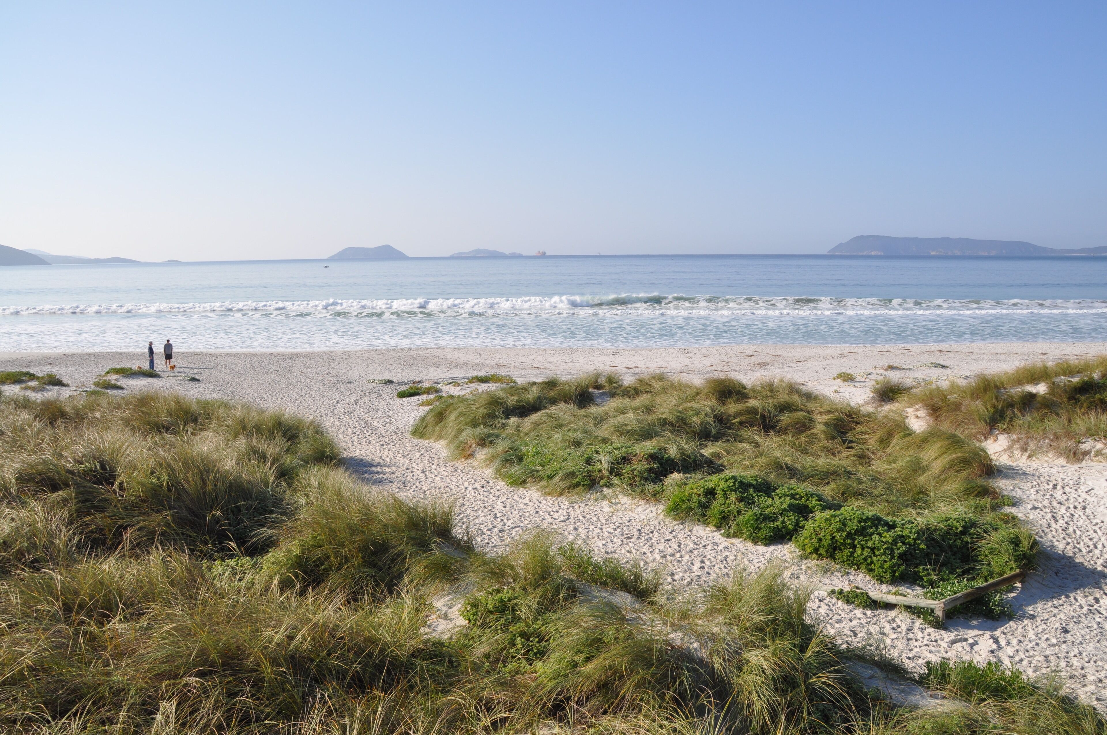 Una playa con orilla pedregosa, dunas cubiertas de hierba y una vista despejada del mar.