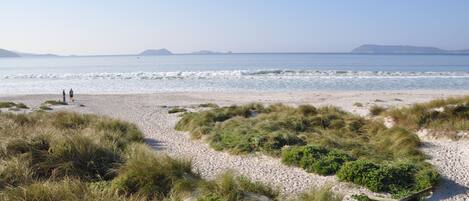 A beach with a pebbly shore, grassy dunes, and a clear view of the sea.