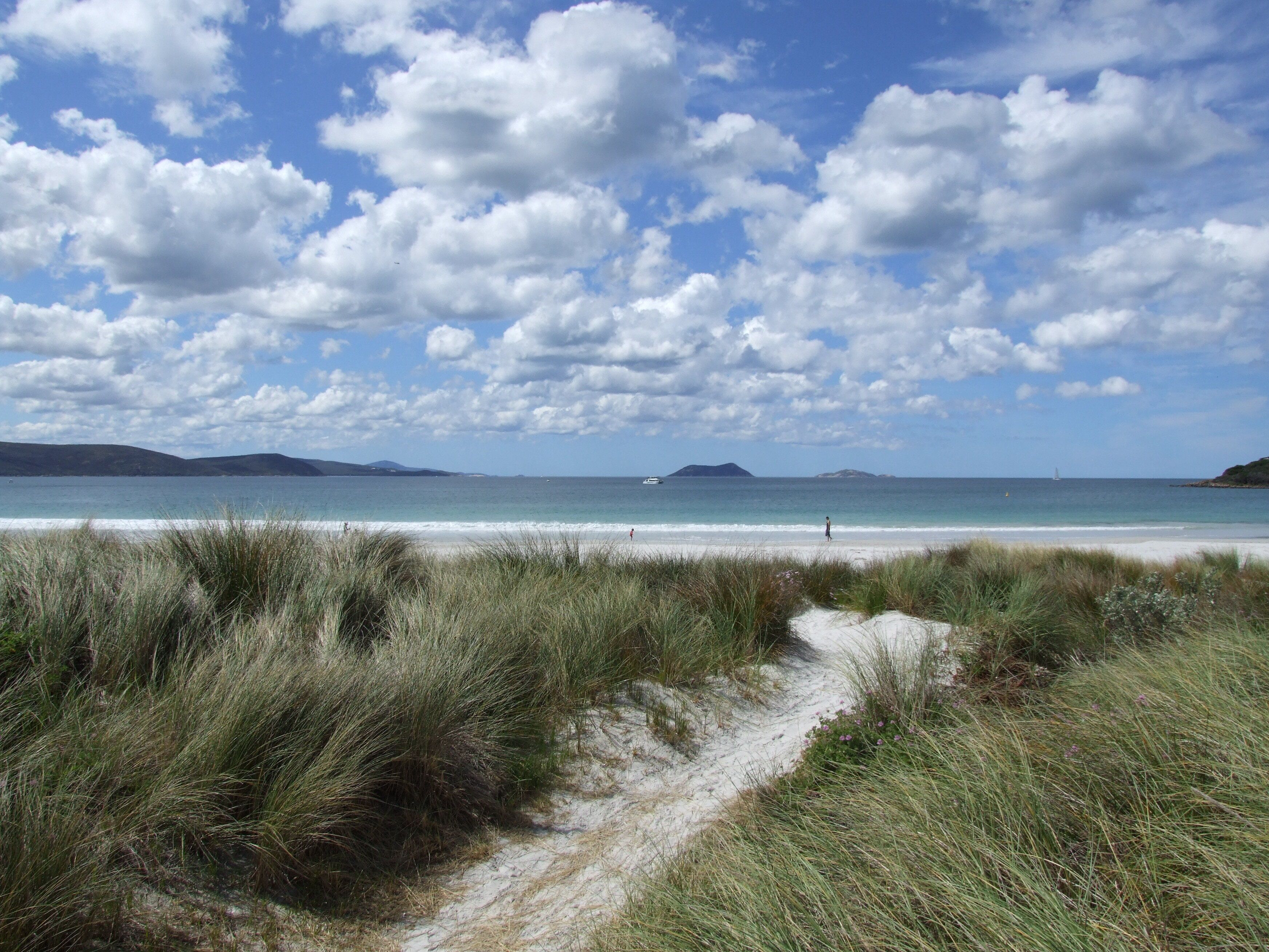 A beach with a clear sky, grassy dunes, and a sandy path leading to the water.