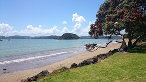 A beach with clear water, a distant island, and a tree with red flowers. - Ala Moana Motel (Paihia)