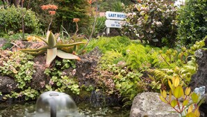 A garden with a pond, lush greenery, and a sign reading "LAST MOTEL POST FERRY WHARF". - Ala Moana Motel (Paihia)