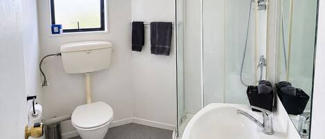 Un bagno con il WC, un lavandino e una doccia.