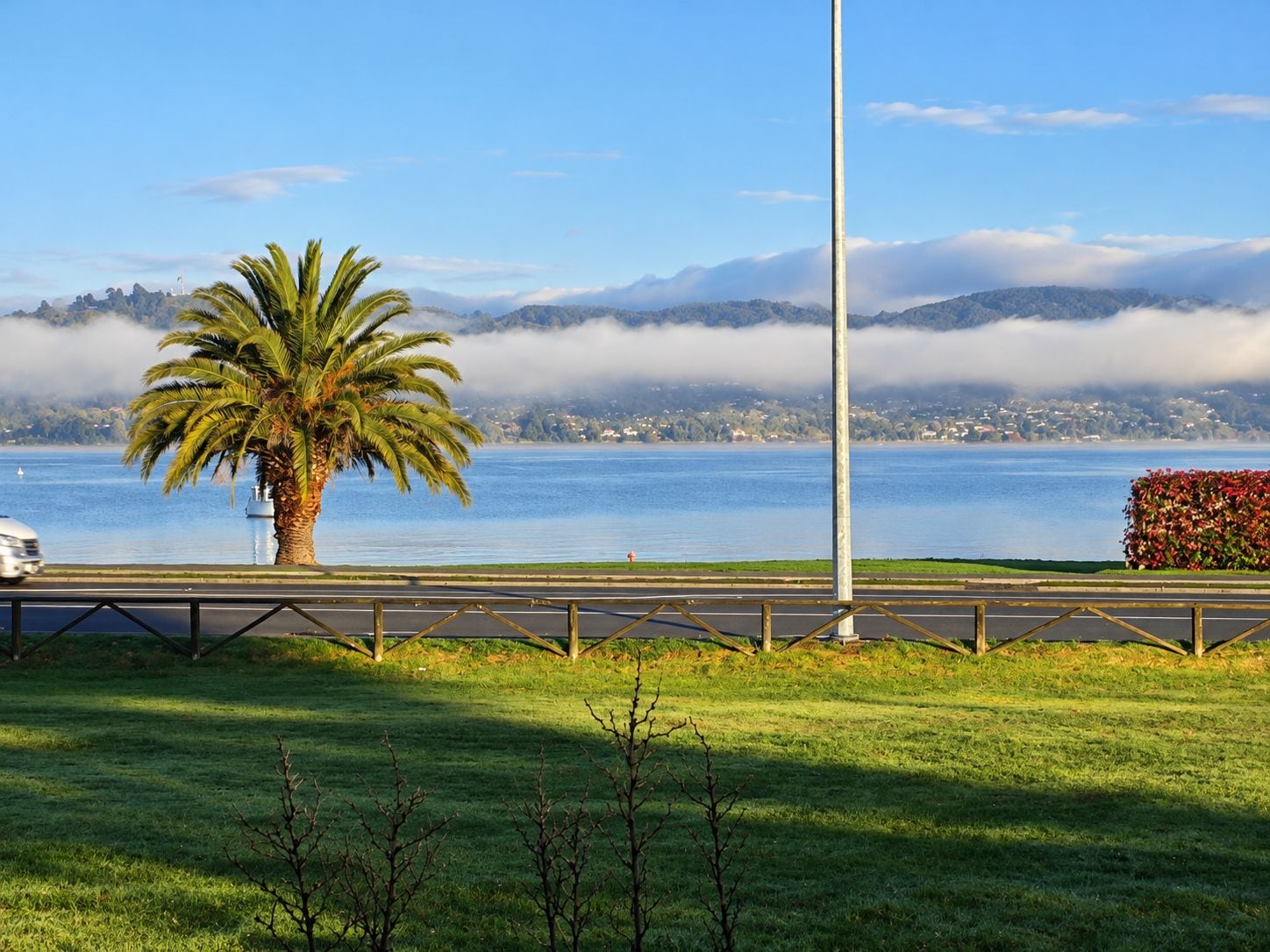A coastal road with a palm tree, a flower bed, and a view of the sea and mountains.