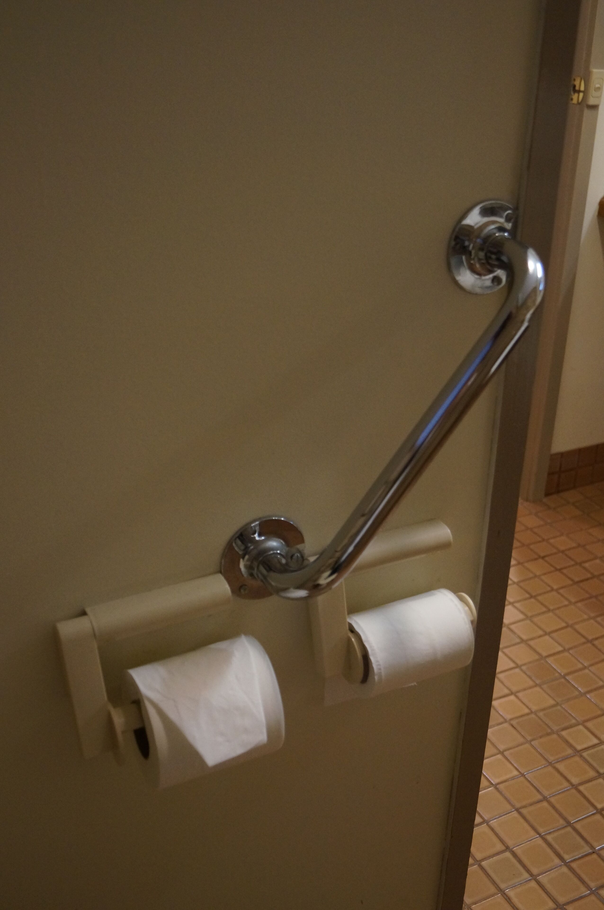 A bathroom with a handrail, toilet paper, and a tiled floor.