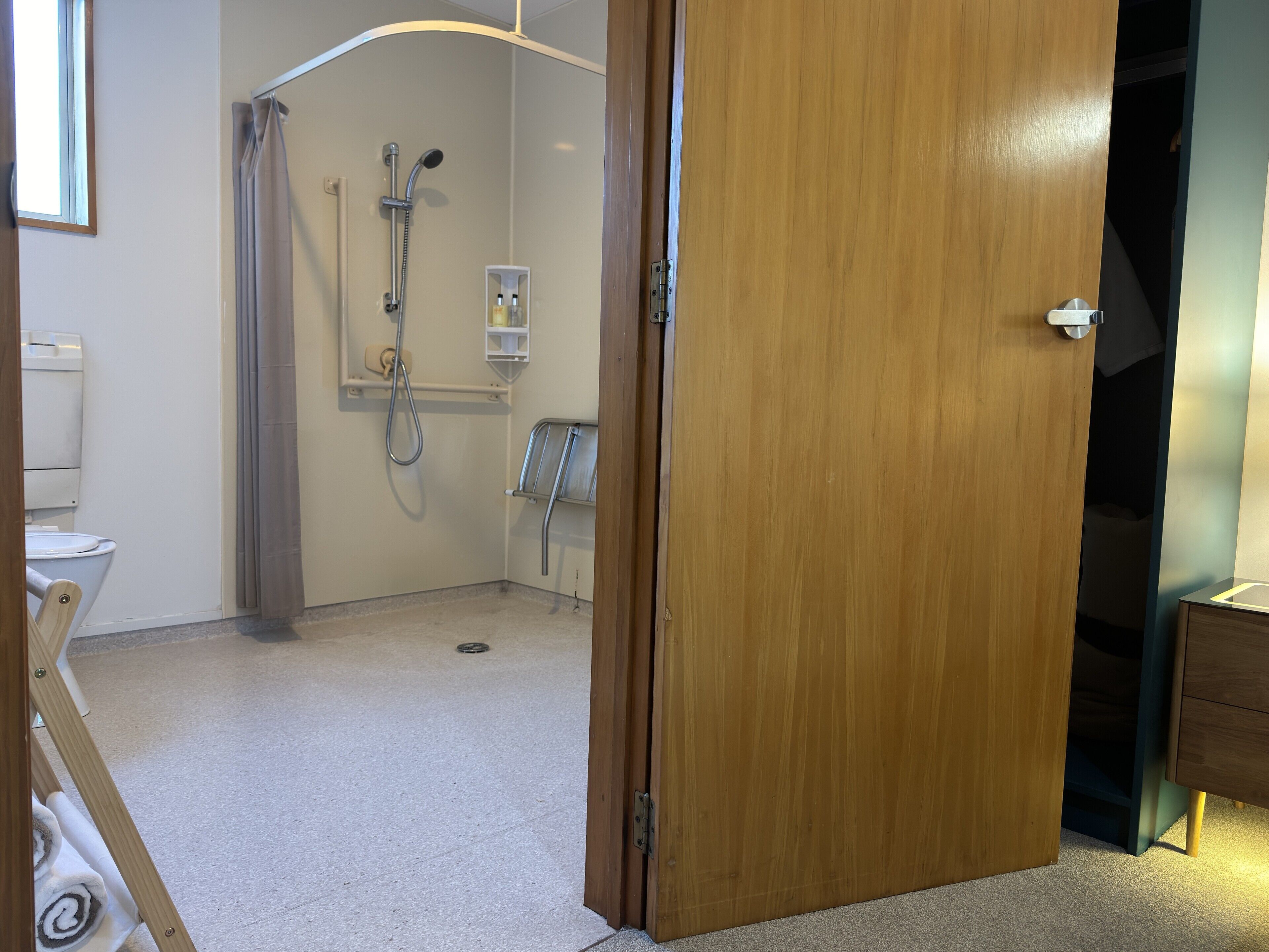 A bathroom with a shower, toilet, and a wooden door.