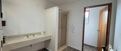 A bathroom with a sink, mirror, and shower.