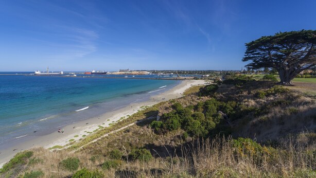 A coastal landscape with a beach, a large tree, and boats in the distance. - NRMA Portland Bay Holiday Park (Portland)