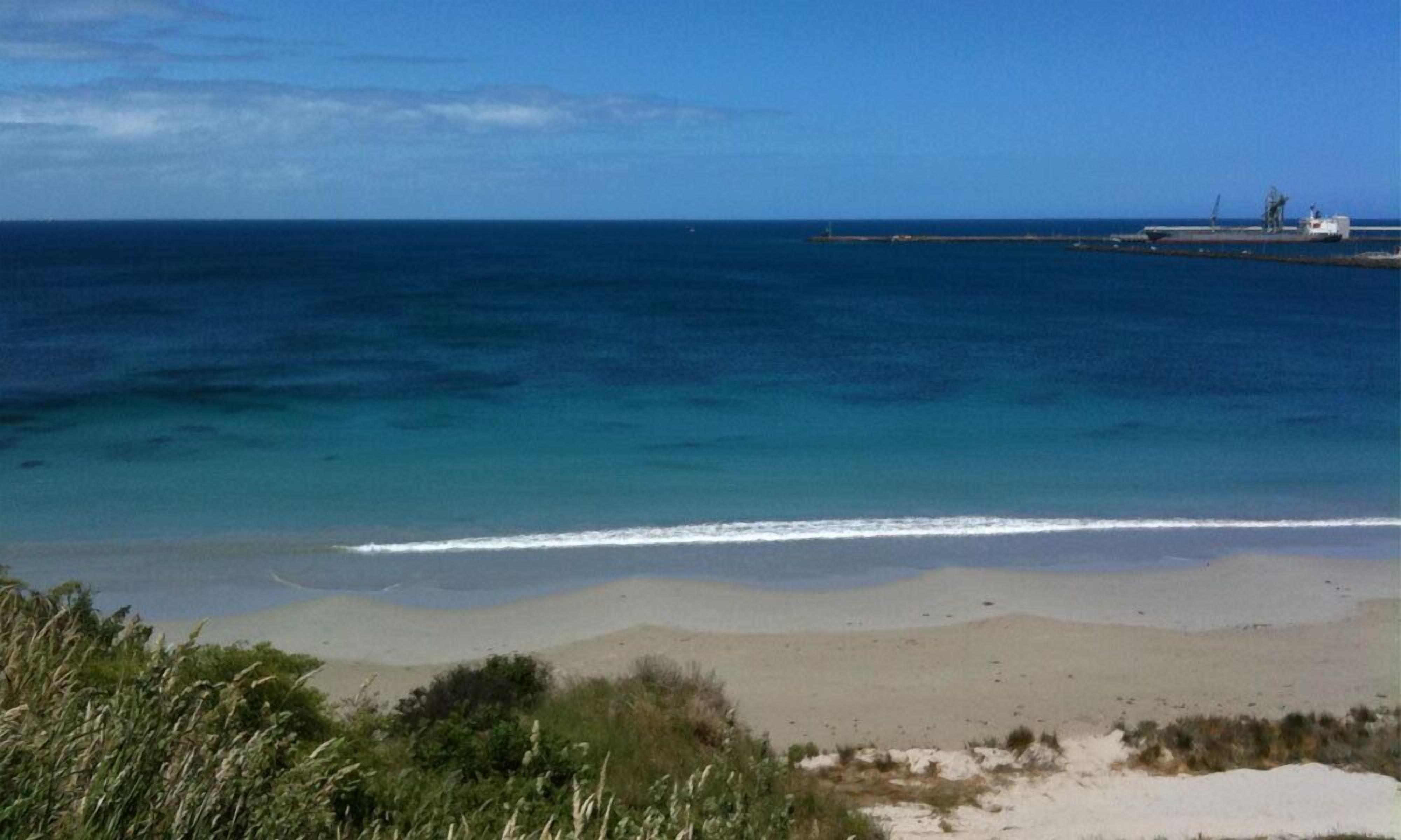 A beach with clear blue water, sandy shore, and some vegetation in the foreground.