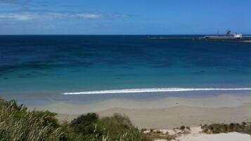 A beach with clear blue water, sandy shore, and some vegetation in the foreground.
