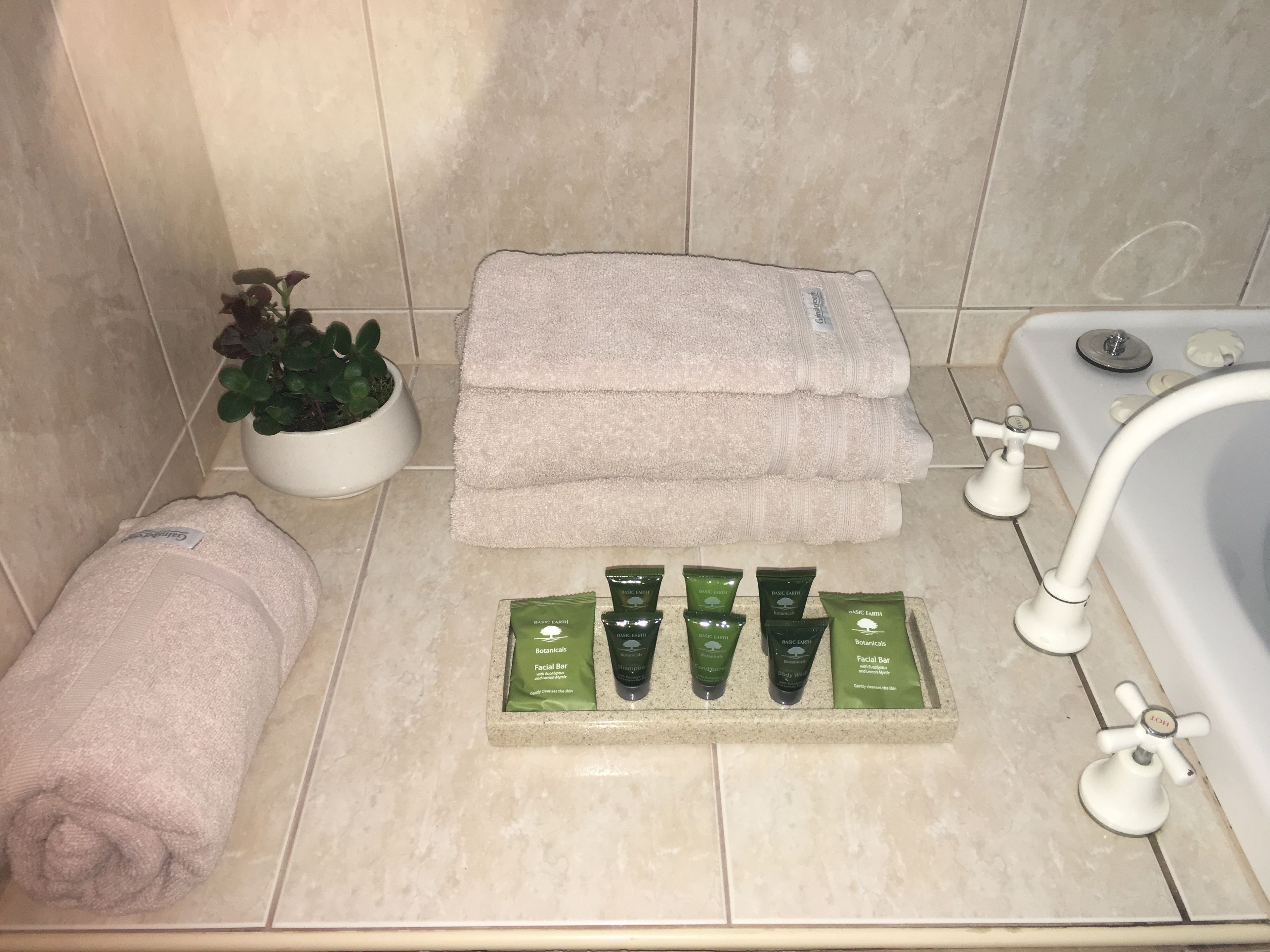 A bathroom with a bathtub, a potted plant, a stack of towels, and a tray of facial bar products.