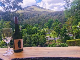 Una botella de vino y una copa vacía sobre una mesa de madera, con vista a un paisaje verde exuberante y una montaña al fondo.
