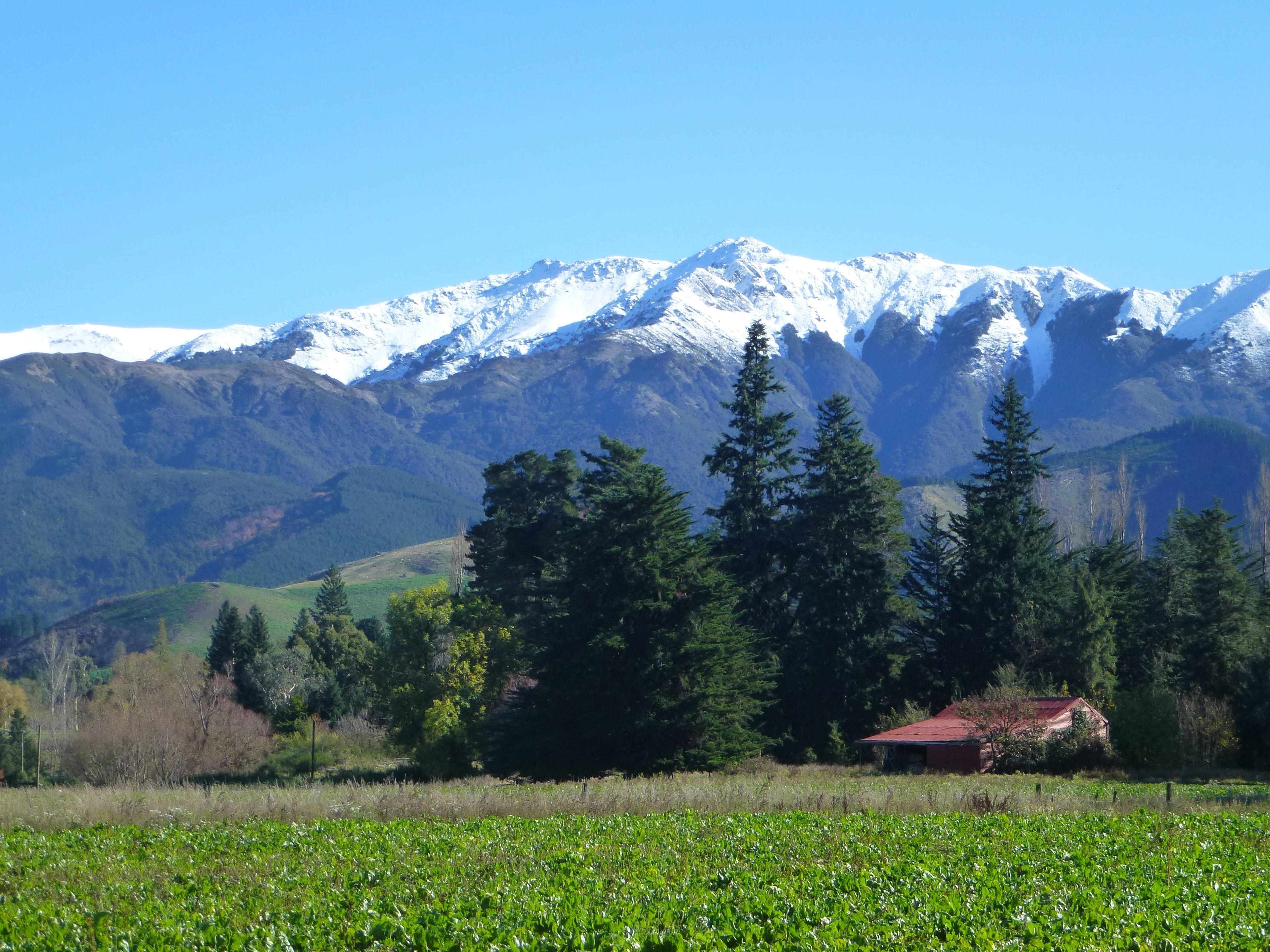 Paisaje montañoso con picos nevados, un campo de cultivos verdes y un edificio de techo rojo en primer plano.