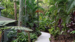 A concrete pathway winding through a lush garden with various tropical plants and a wooden structure on the left. - Hunchy Hideaway (Hunchy)