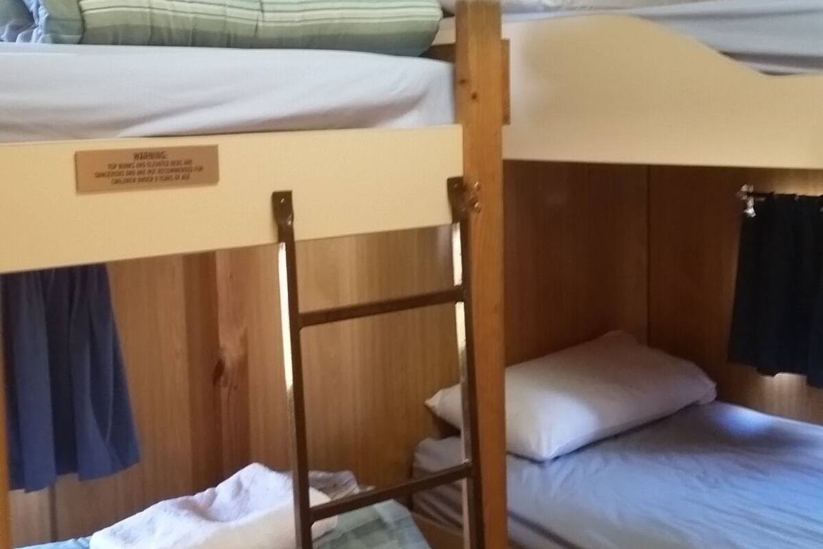 A bunk bed room with wooden walls and a ladder.
