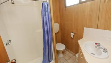 Une salle de bain avec douche, toilettes et lavabo.